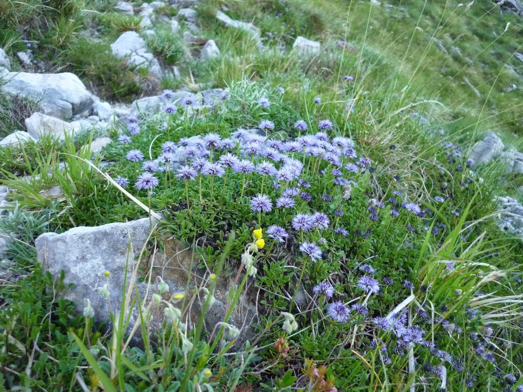 Alpi Apuane - Monte Tambura